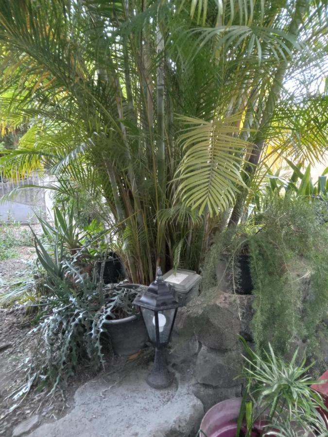 Le Jardin Villa Saint-Leu Exterior foto